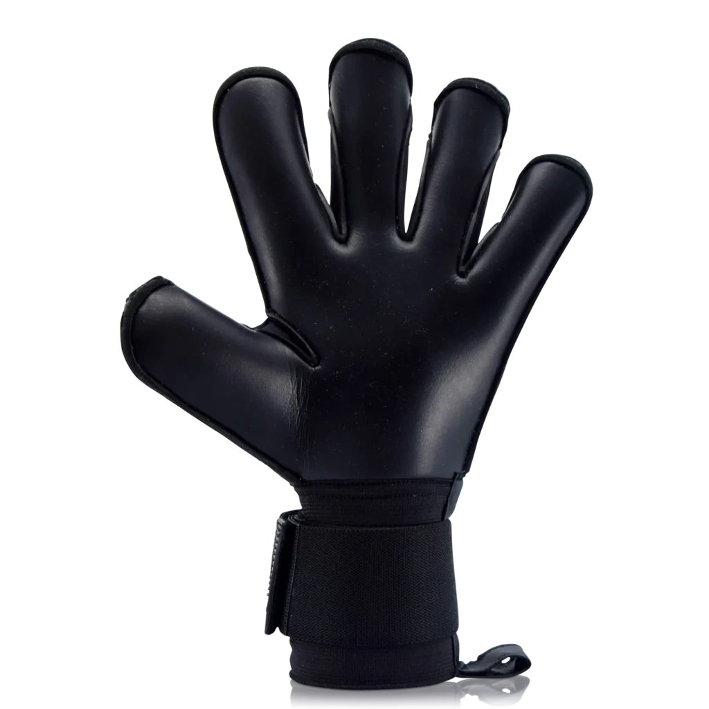 Goalkeeper gloves Hydra Black